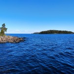 IMG-20210530-WA0004