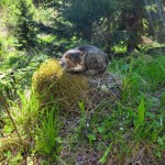 IMG-20210530-WA0011